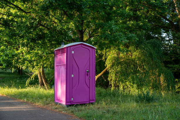 Best Porta potty delivery and setup  in Peach Springs, AZ